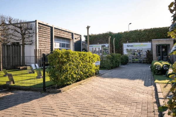 kunstgras kopen in Lisserbroek
